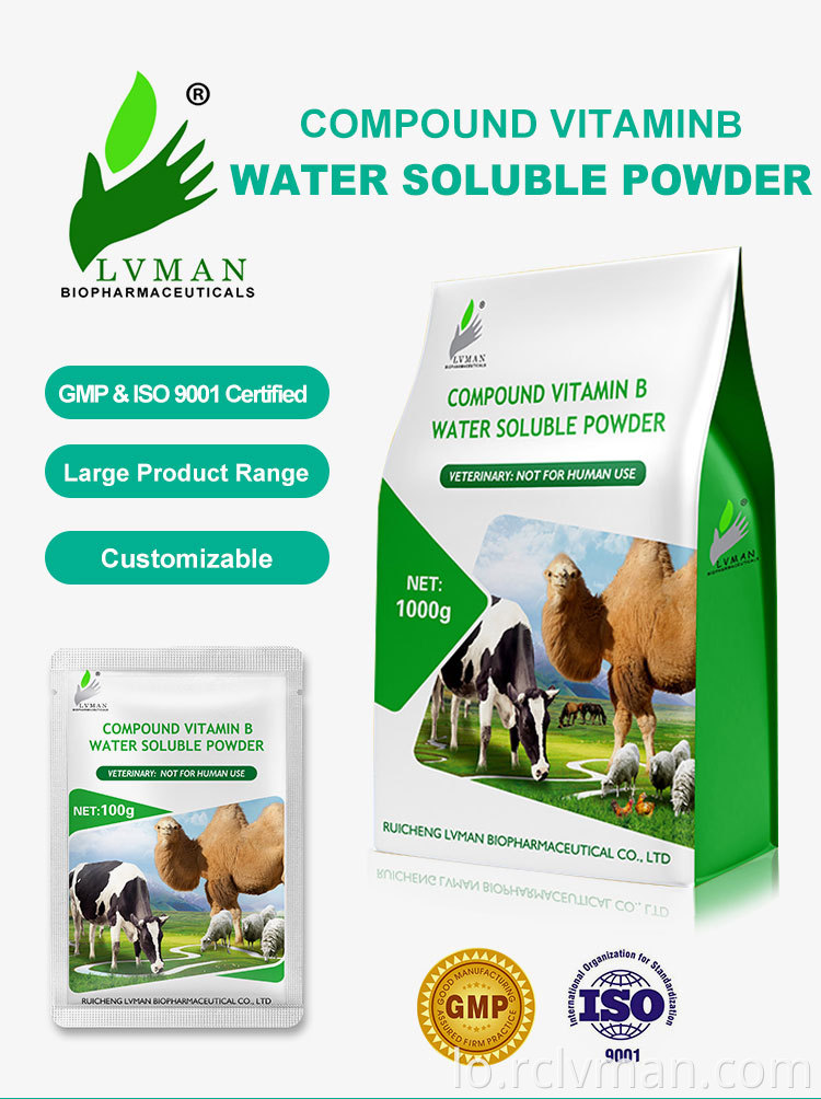 ປະສົມ vitaminb w s p 01 Compound Vitaminb W S P 01